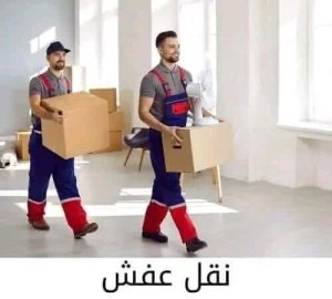 أرقام شركة نقل اثاث بسرايا القبة