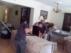 شركة نقل اثاث في جاردنيا
